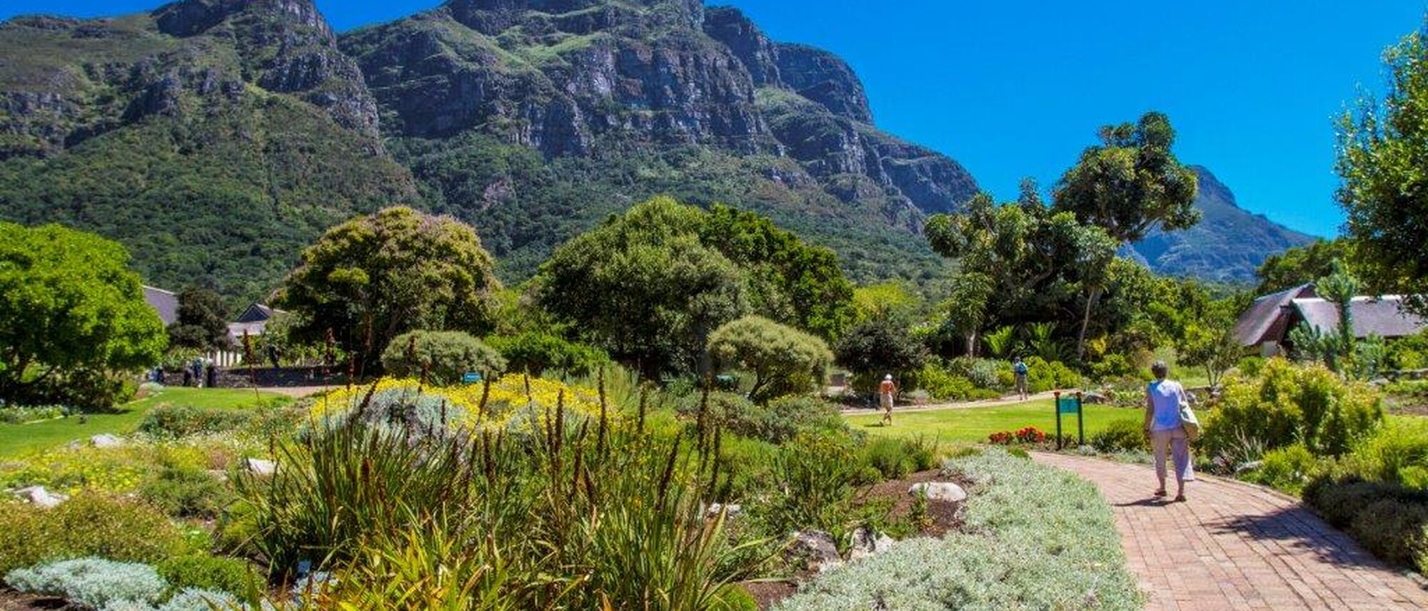 Image Title Image Title