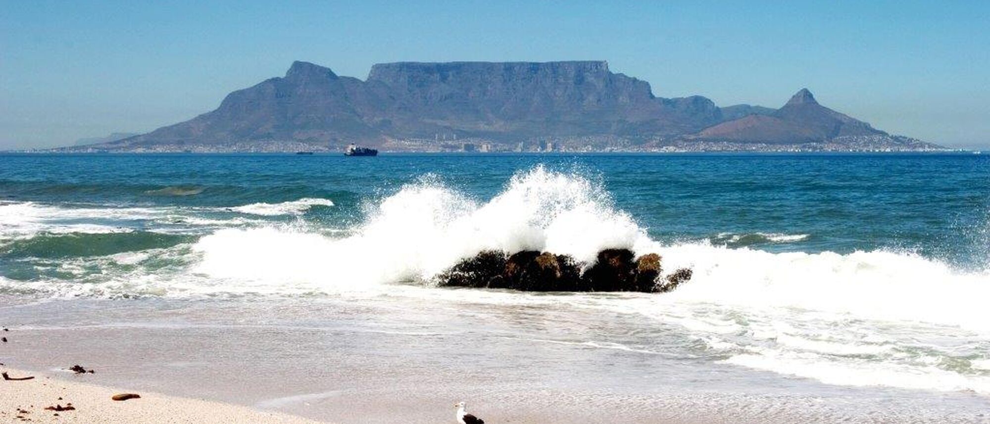 Image Title Image Title