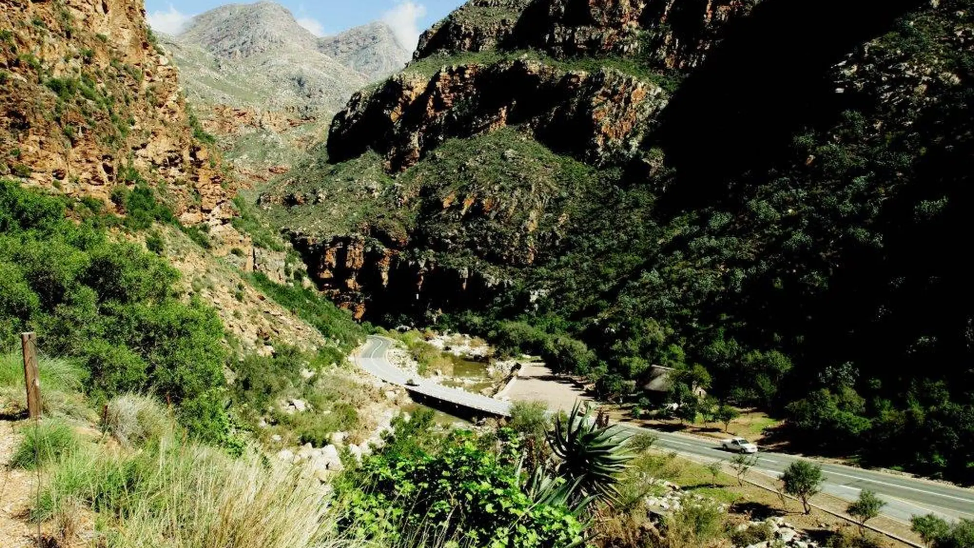 Image Title Image Title