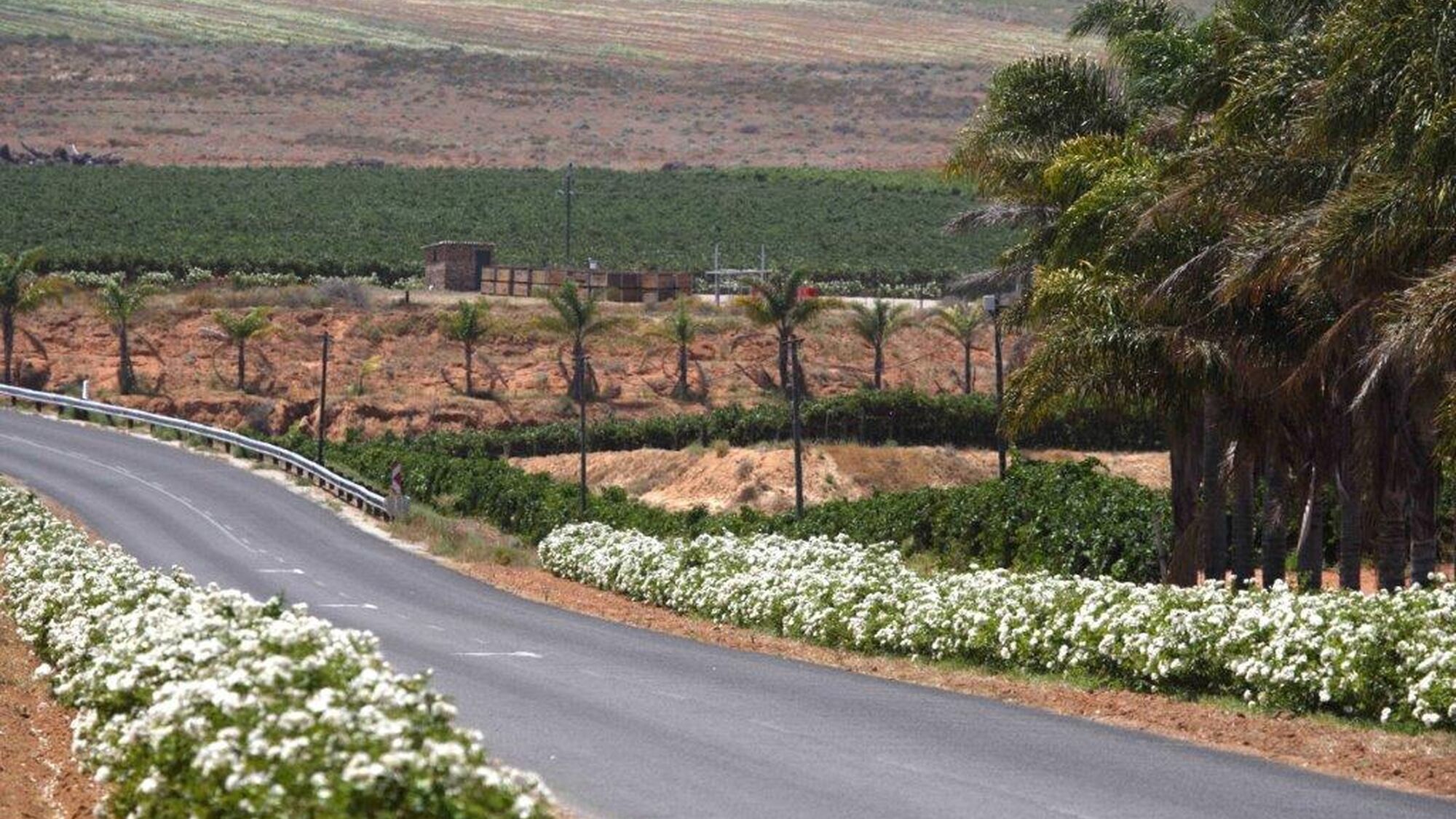 Image Title Image Title