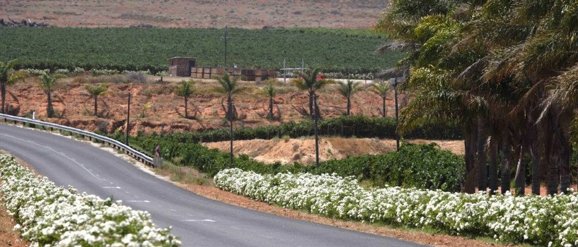 Image Title Image Title