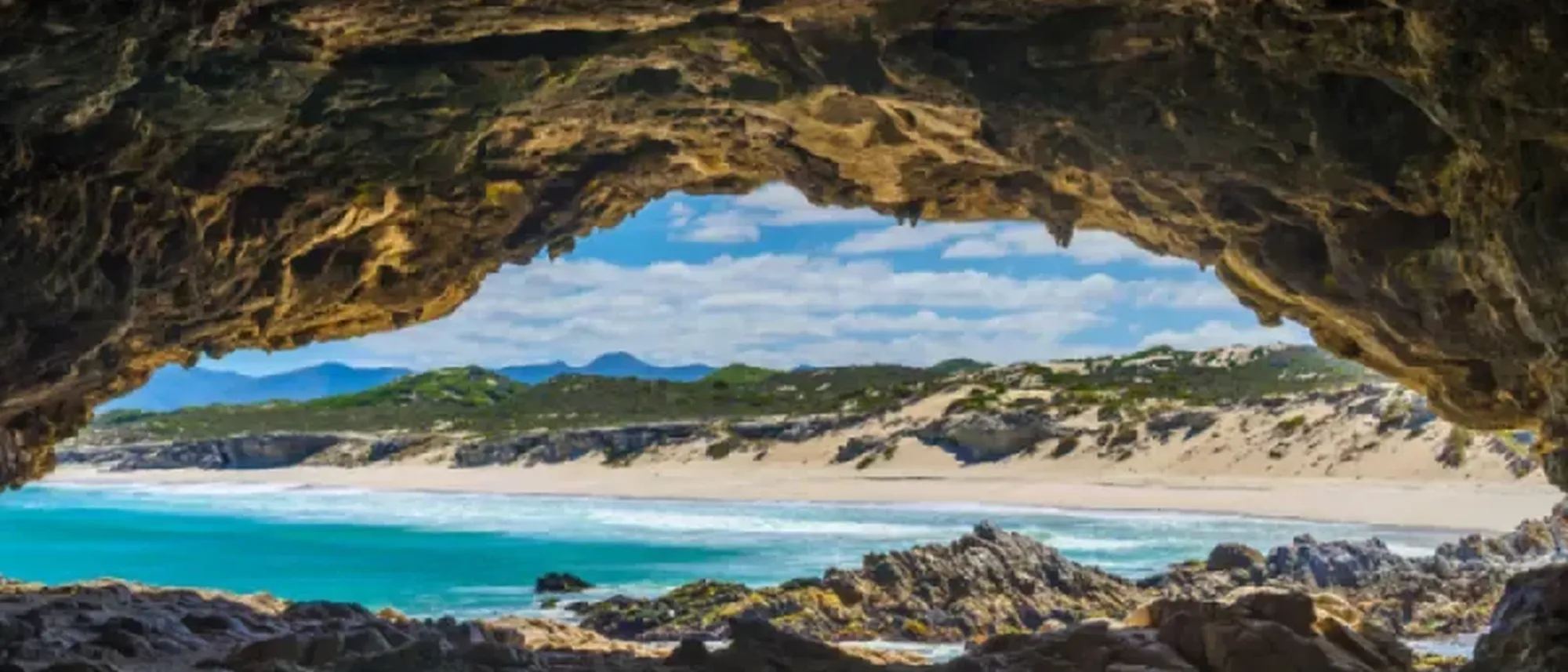 Image Title Image Title