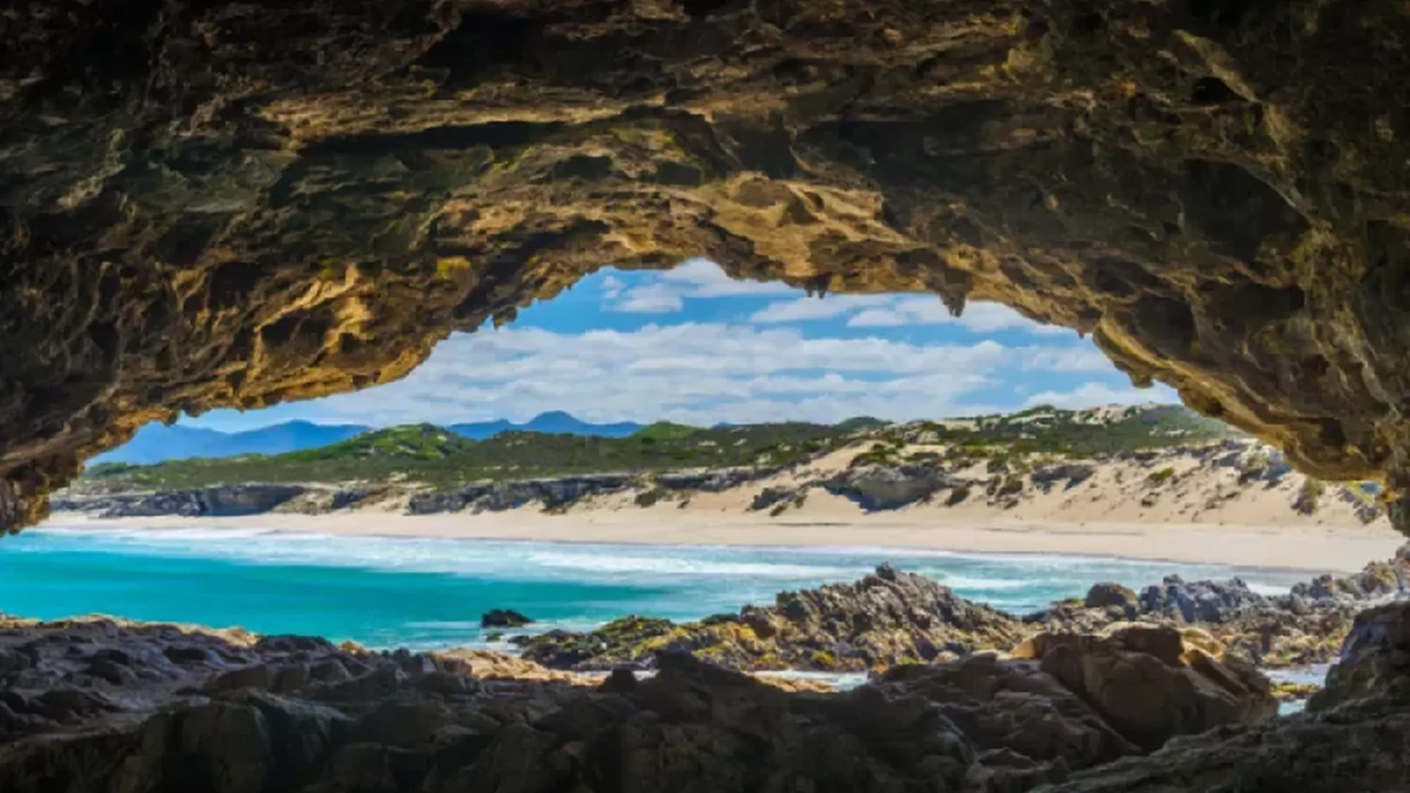 Image Title Image Title