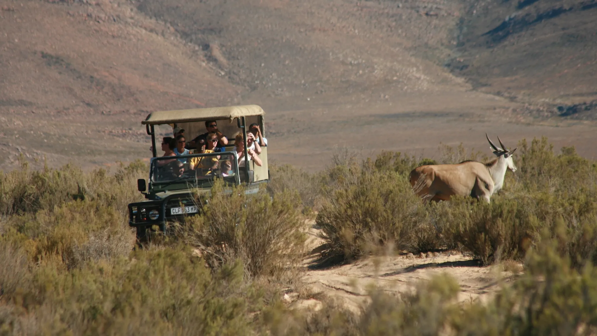 Image Title Image Title