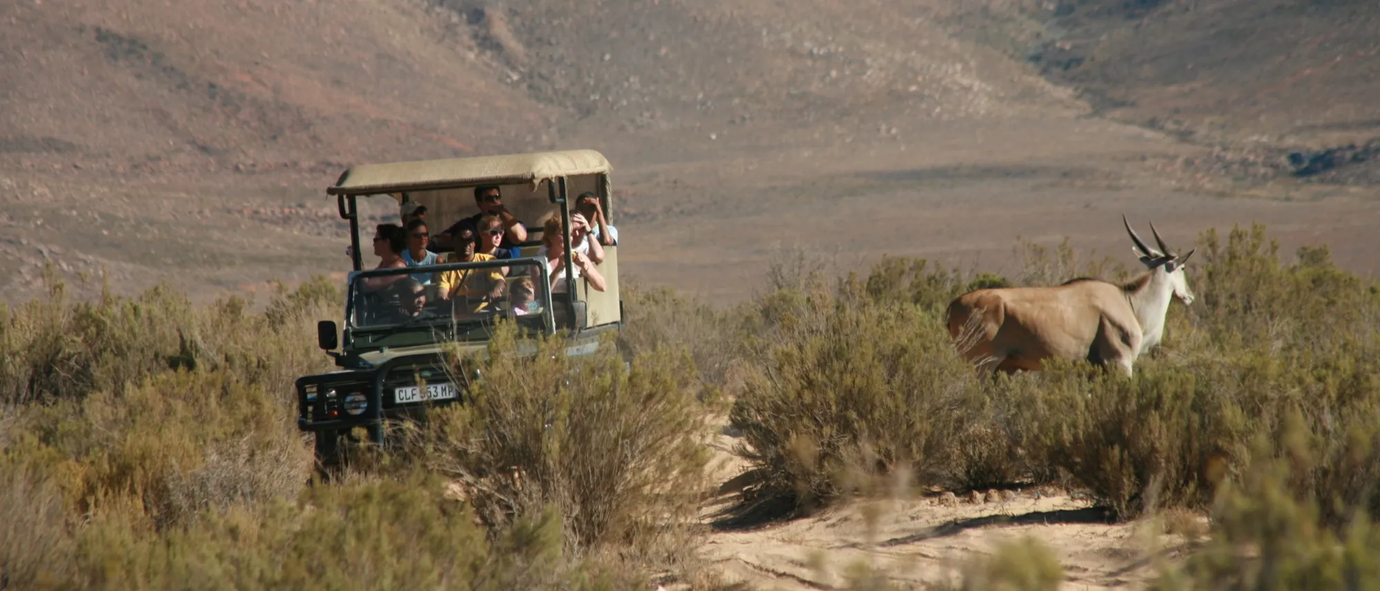 Image Title Image Title