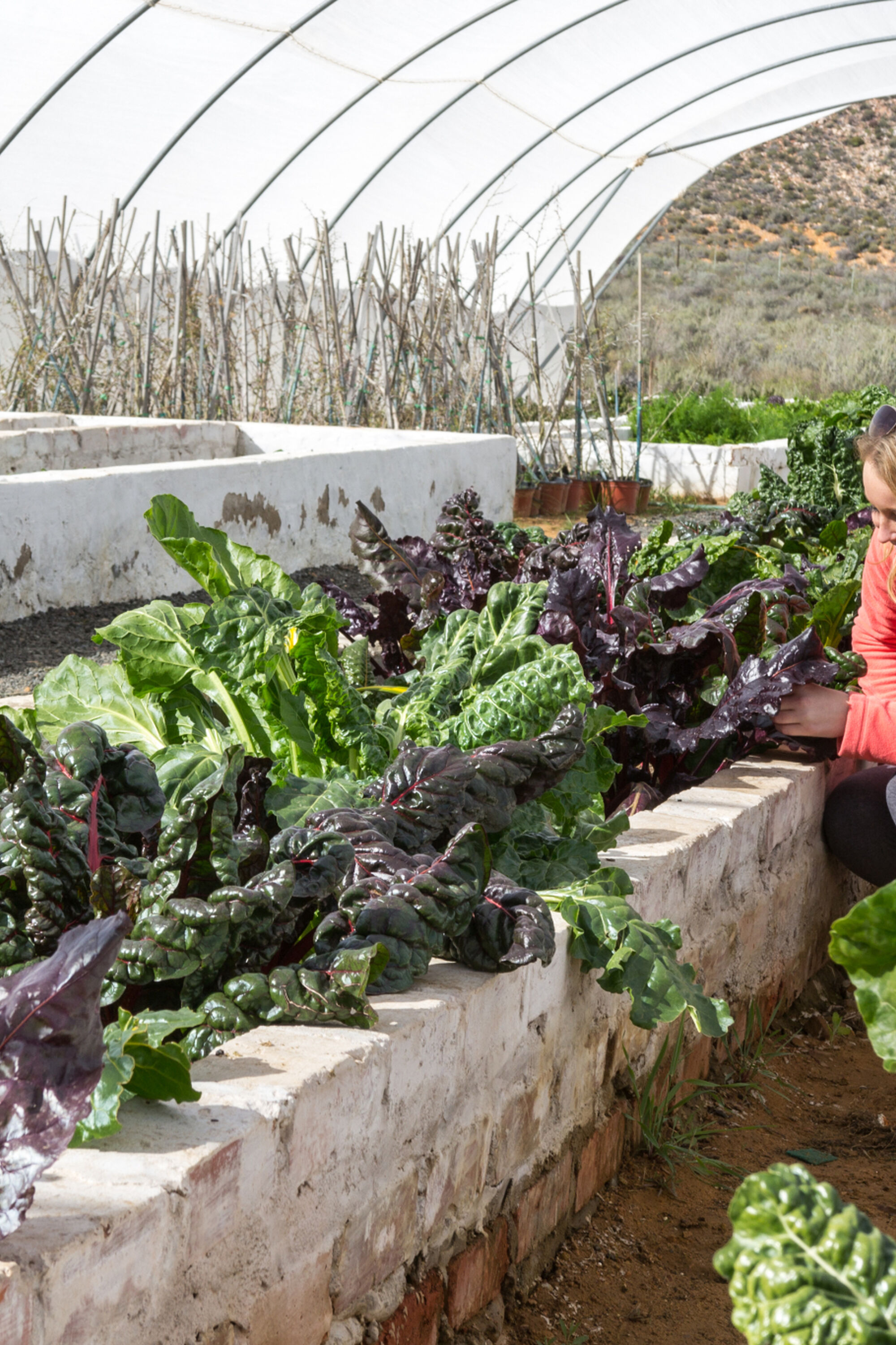 Aquila Game Reserve Eco Synergy Touws River Cape Karoo Aquila Game Reserve Eco Synergy Touws River Cape Karoo