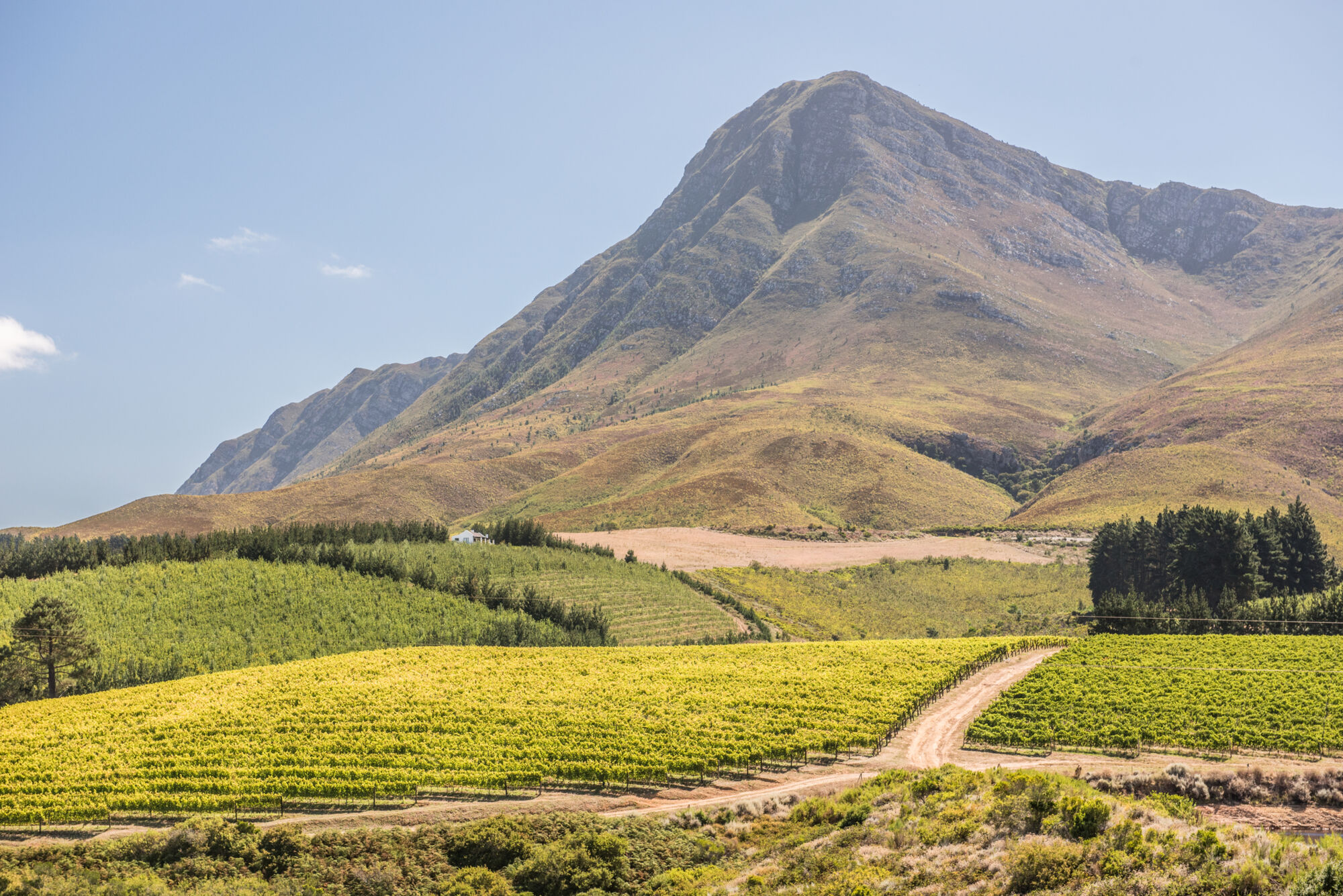 Ataraxia 3 Ataraxia 3