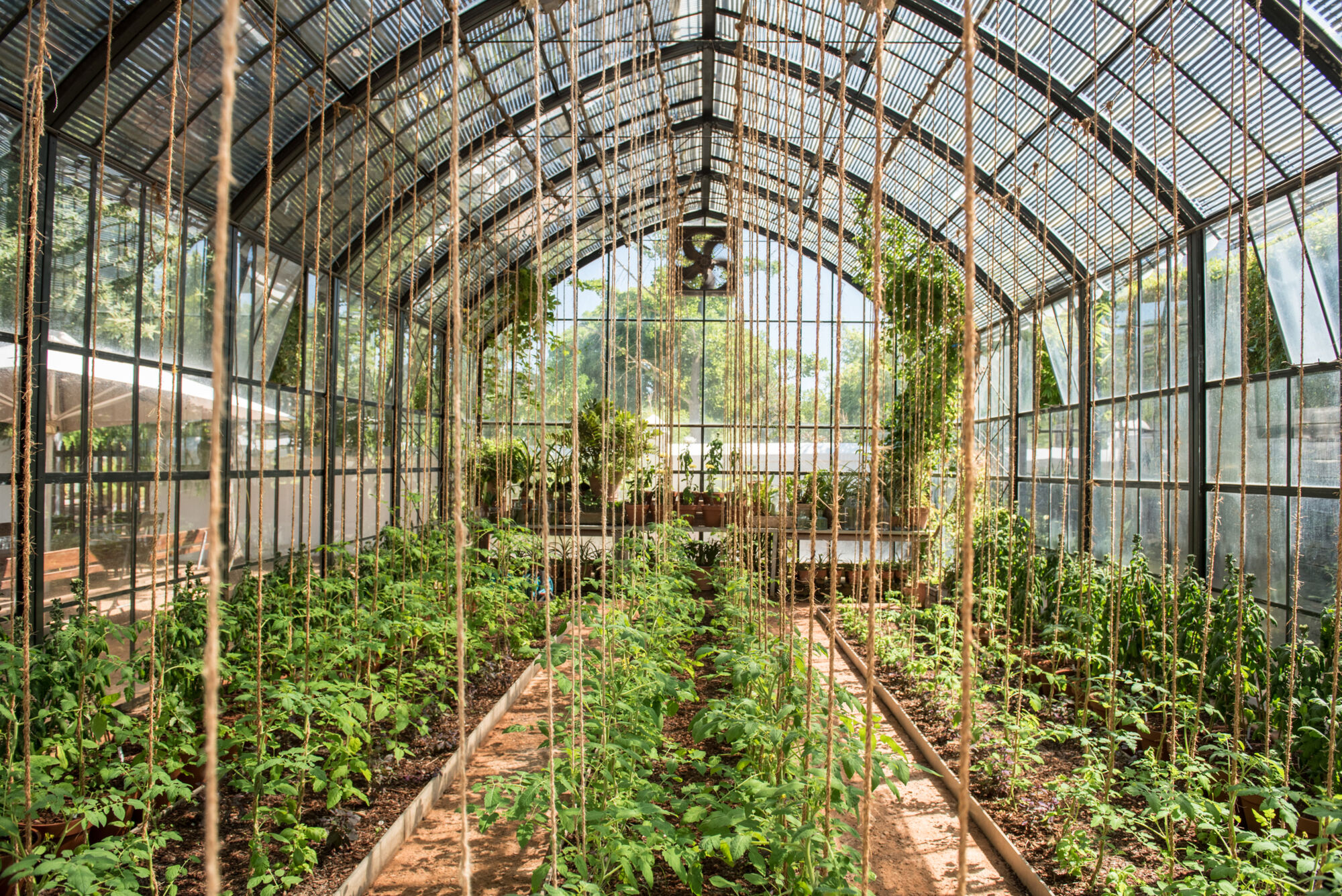 Babylonstoren 8 Babylonstoren 8