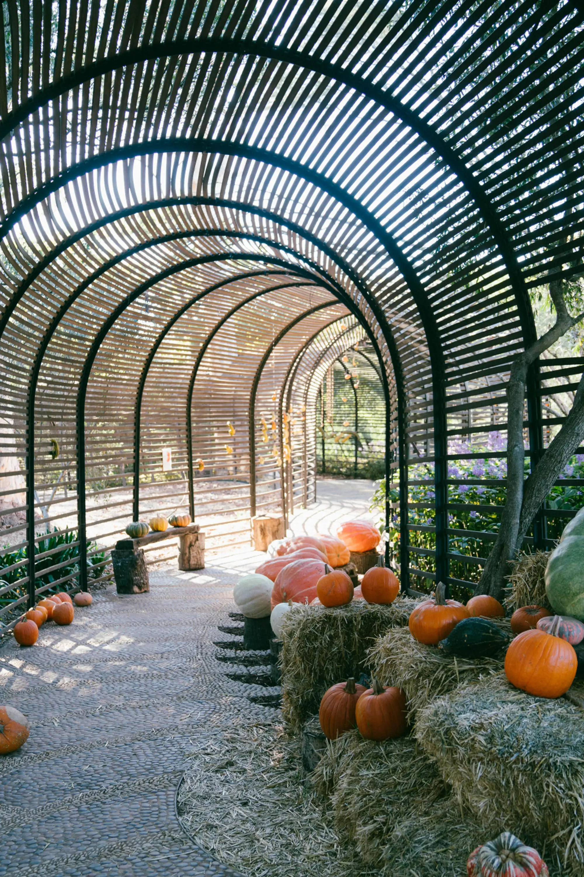 Babylonstoren Klapmuts Cape Winelands Babylonstoren Klapmuts Cape Winelands