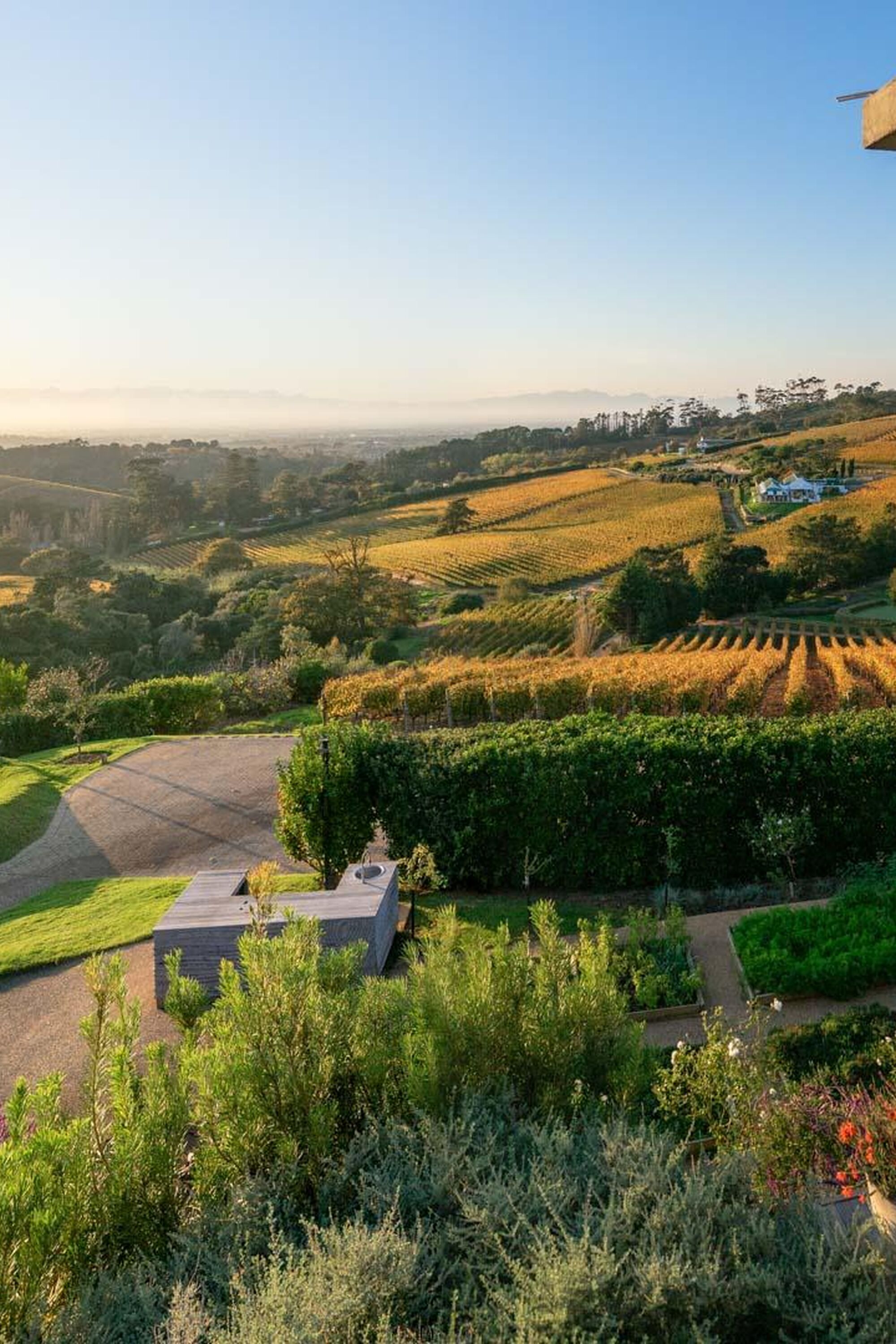 Beau Constantia wine farm Constantia Cape Town Beau Constantia wine farm Constantia Cape Town