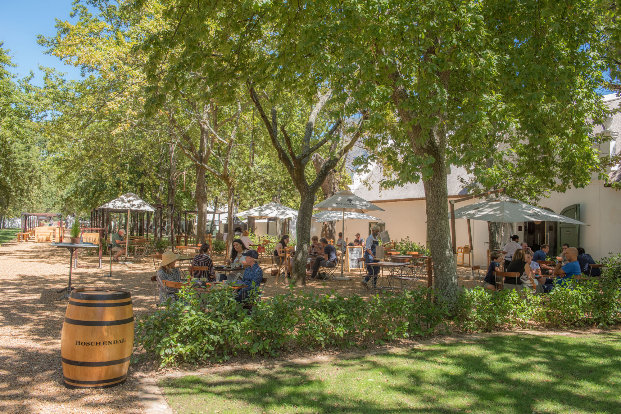 Boschendal 6 Boschendal 6