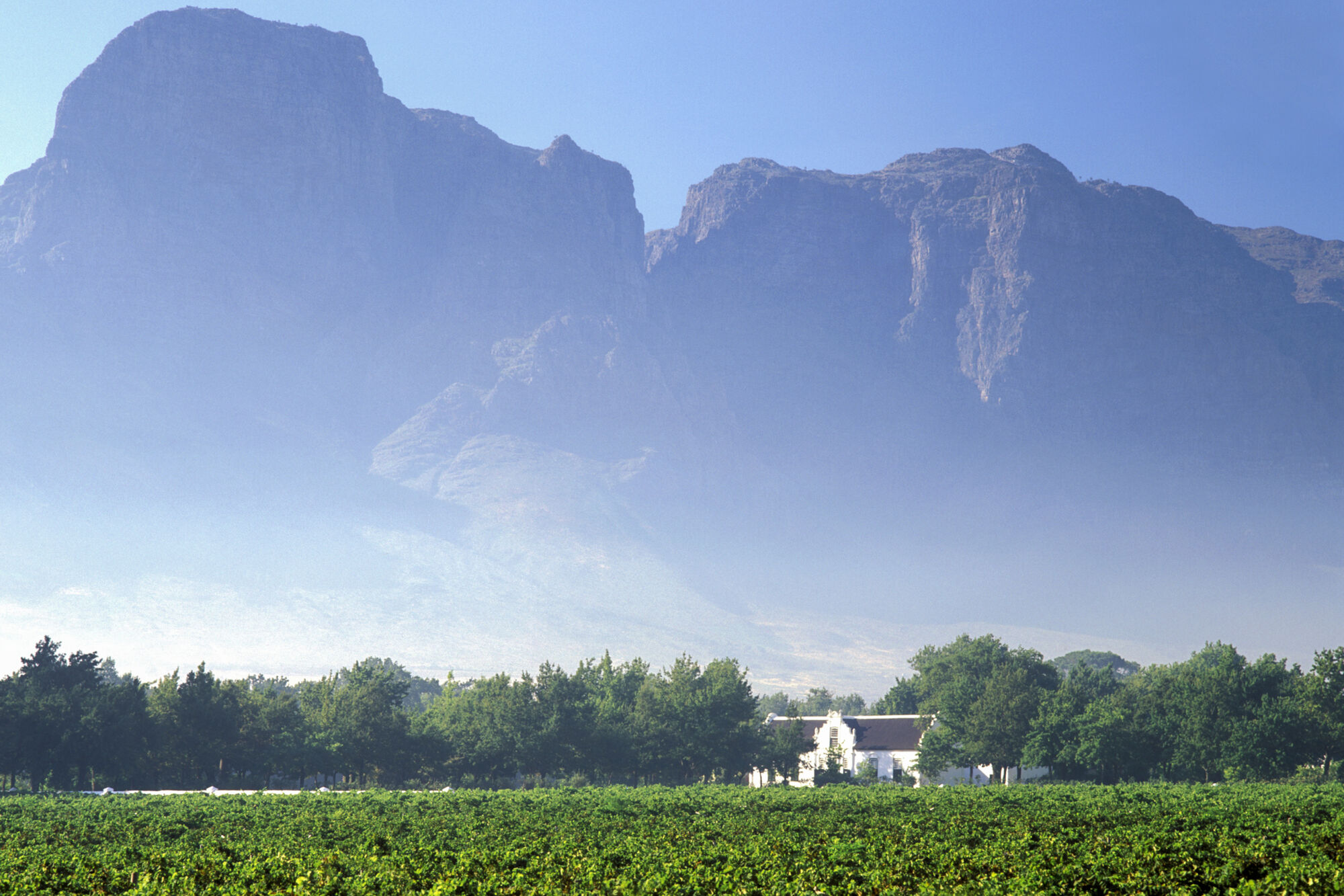 Boschendal Wine Estate Boschendal Wine Estate