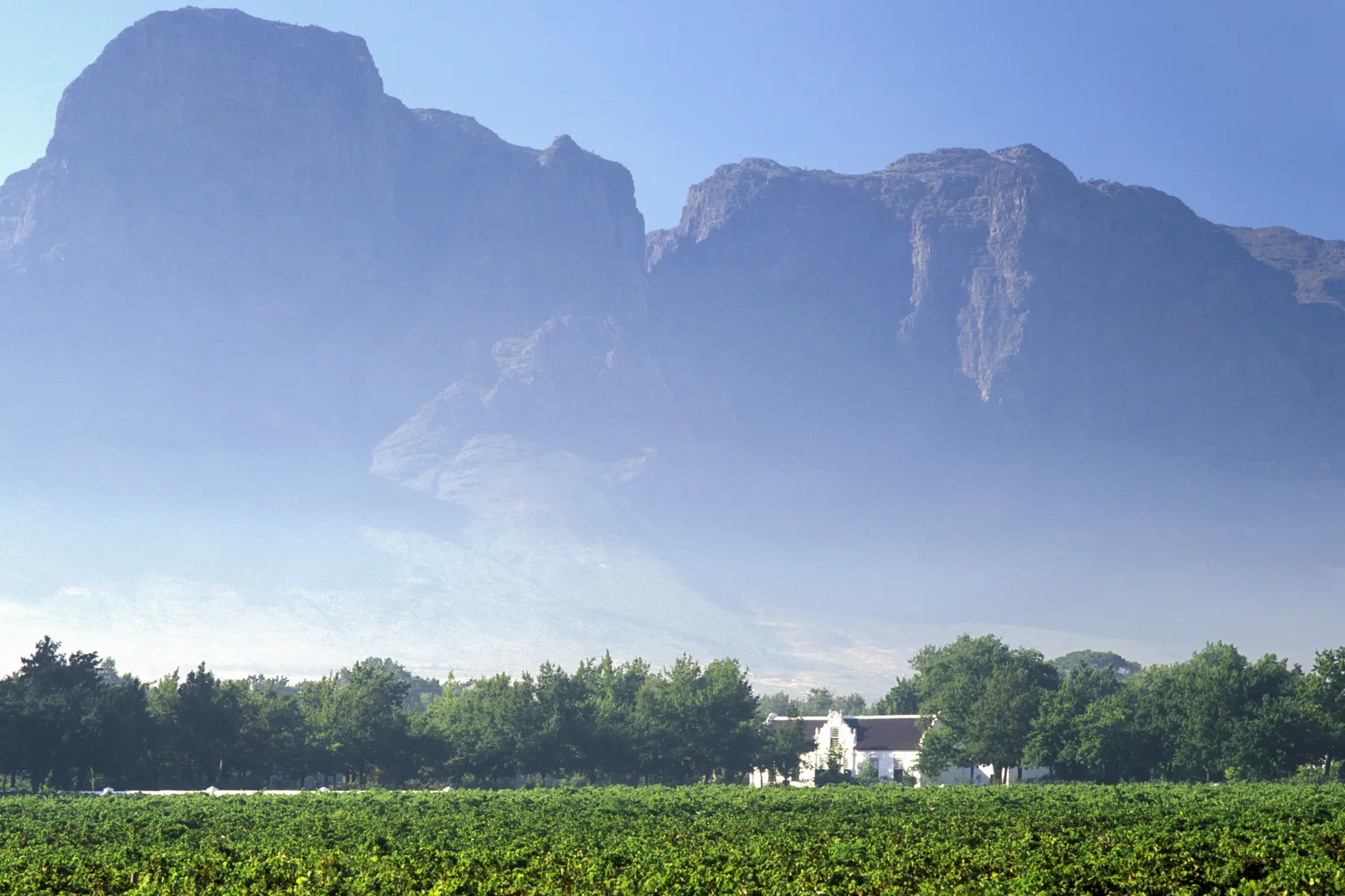 Boschendal Wine Estate Boschendal Wine Estate