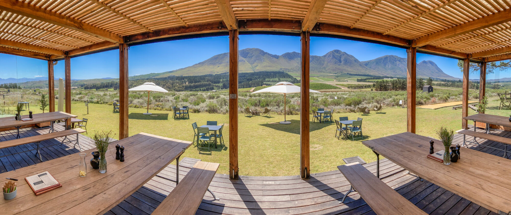 Bosman Hermanus Bosman Hermanus