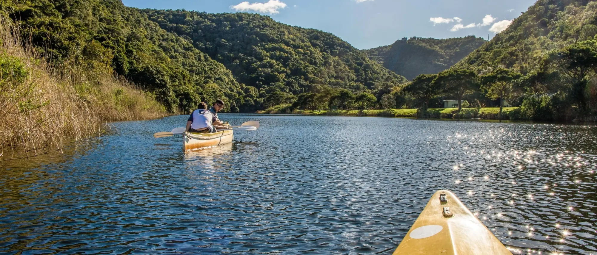 Image Title Image Title