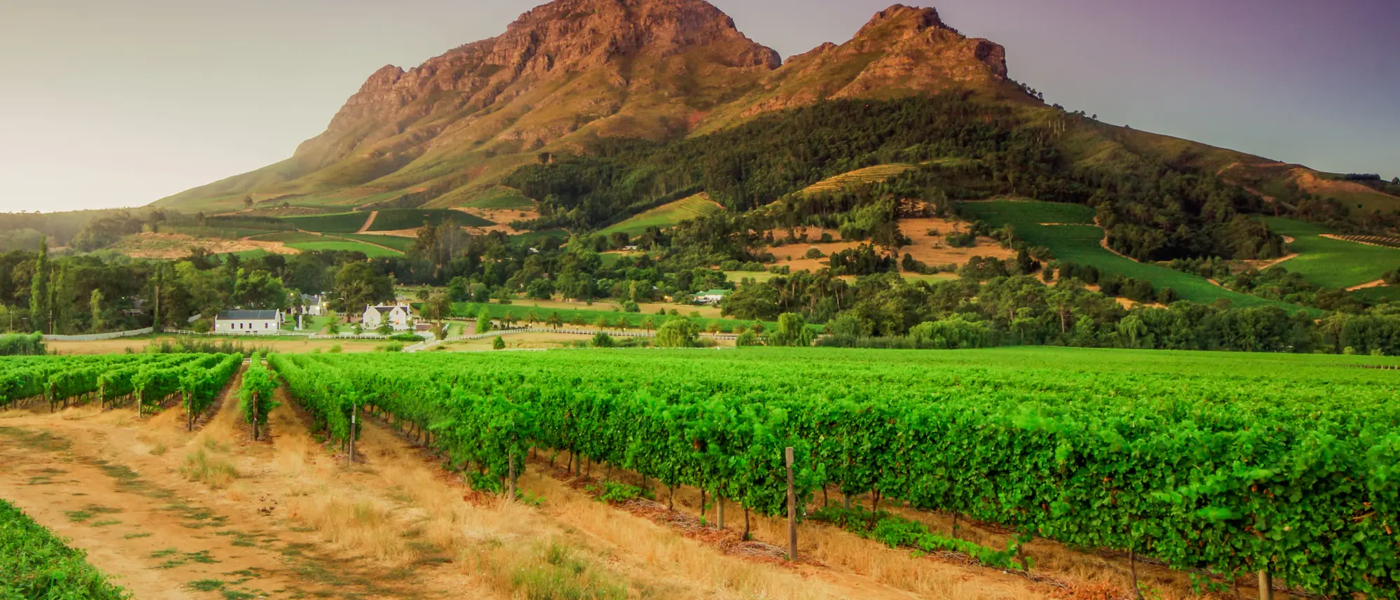 Image Title Image Title