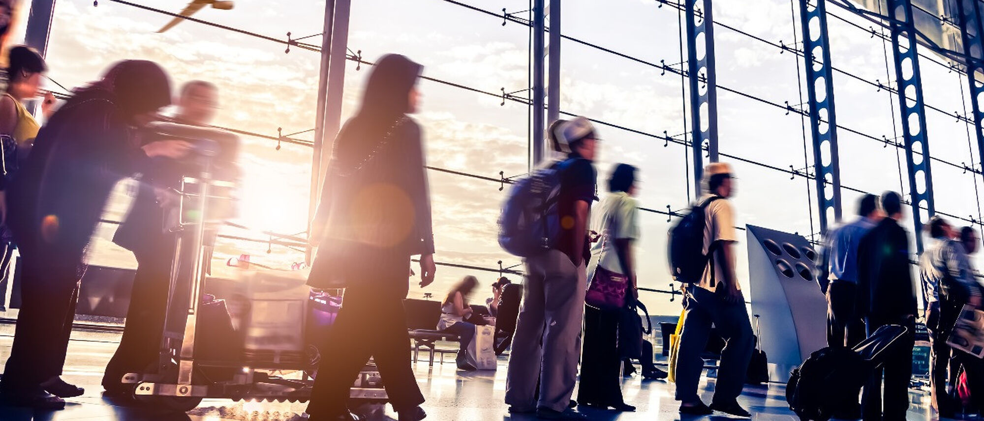 Image Title Image Title