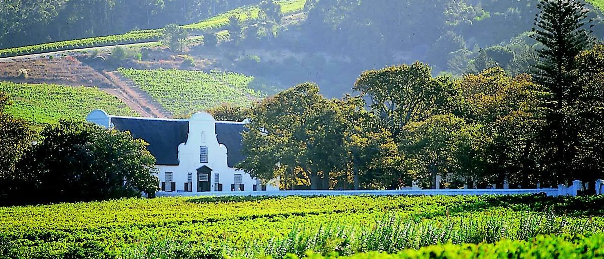 Image Title Image Title