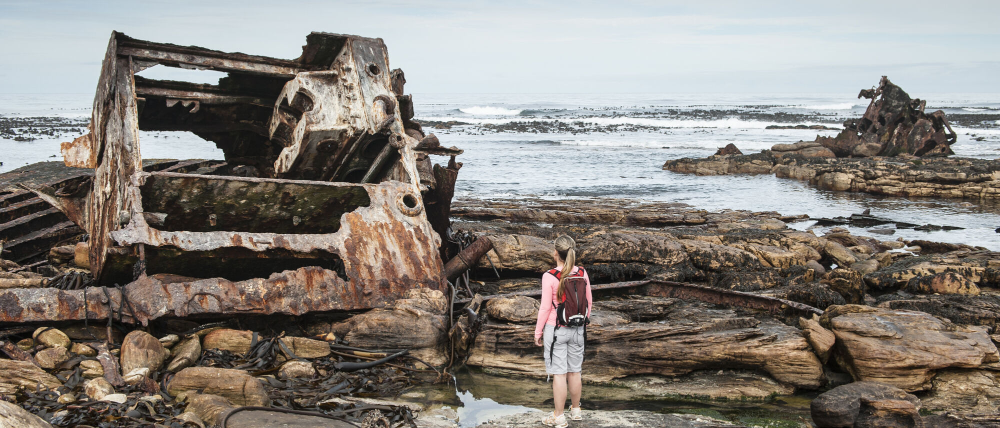 Image Title Image Title