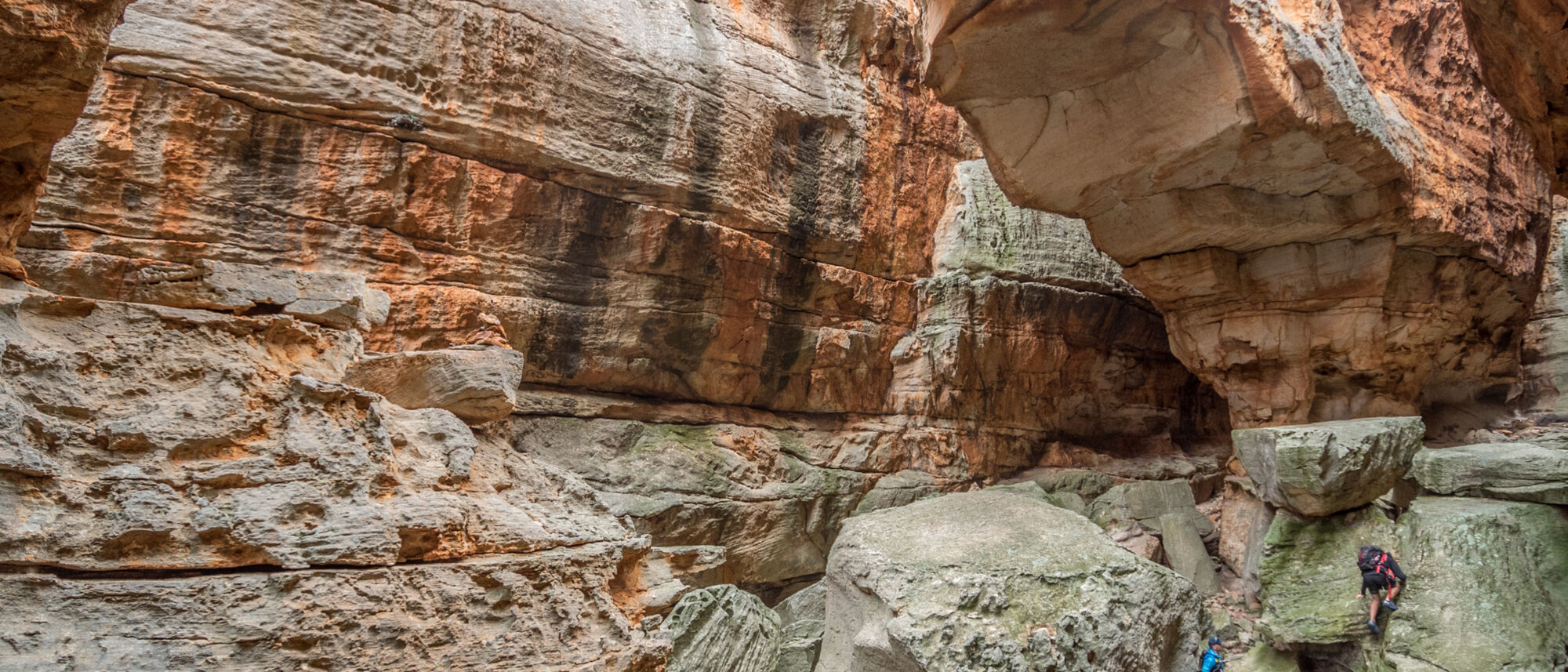 Image Title Image Title