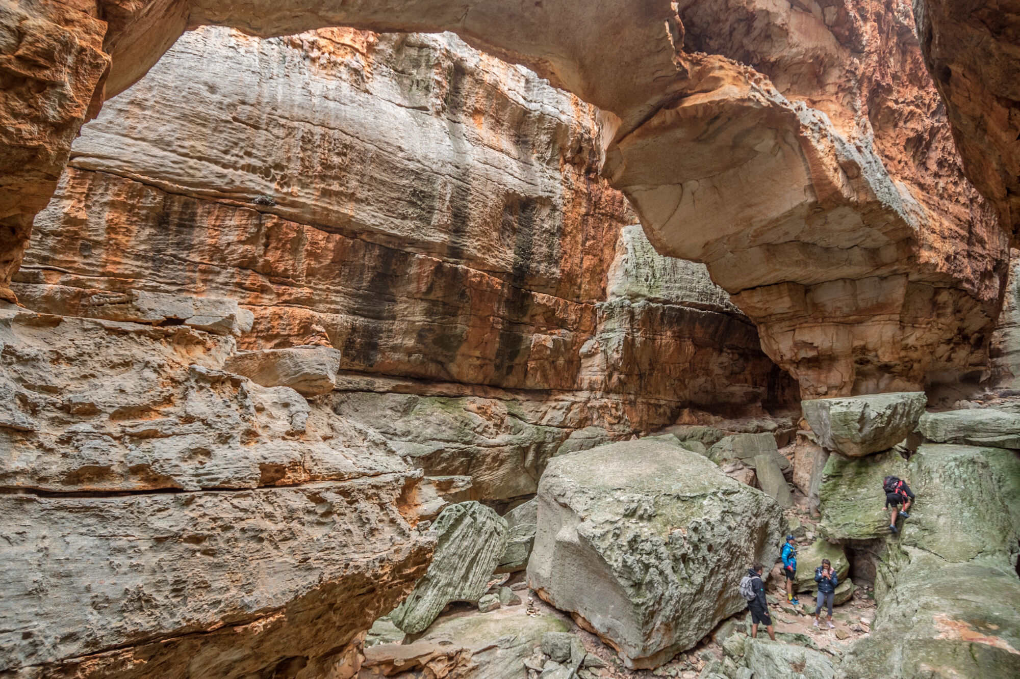 Cederberg 7 copy Cederberg 7 copy