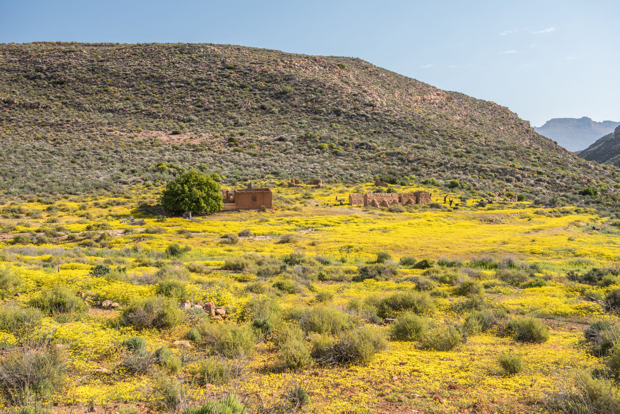 Cederberg4 Cederberg4
