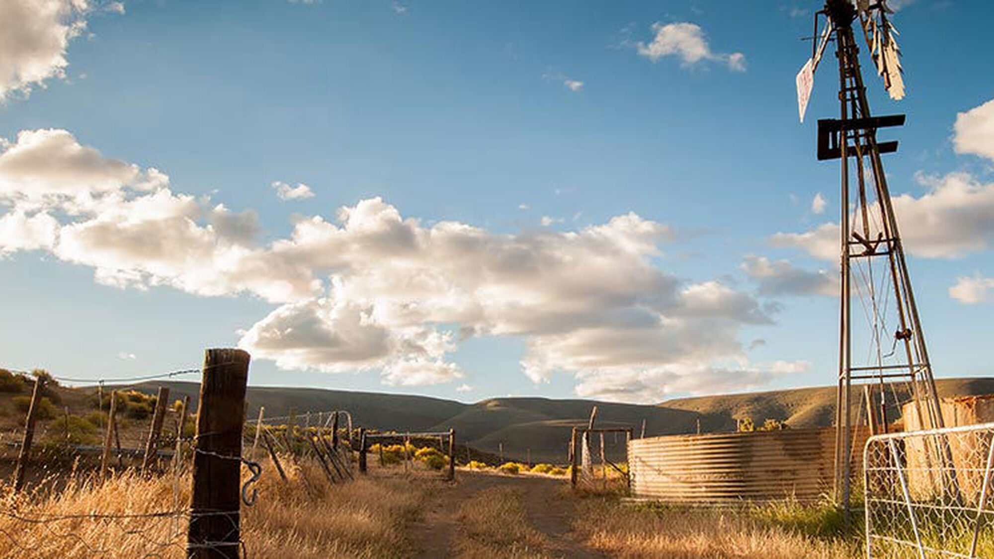 Image Title Image Title