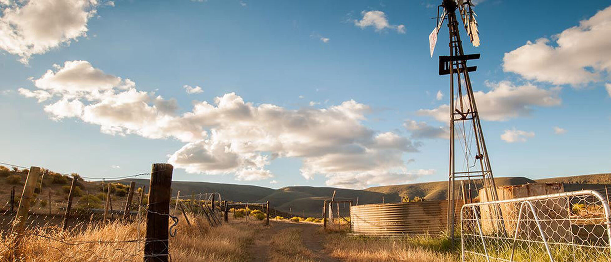 Image Title Image Title