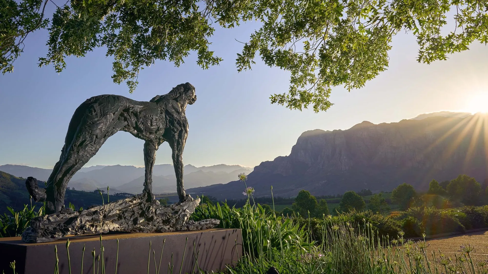 Image Title Image Title