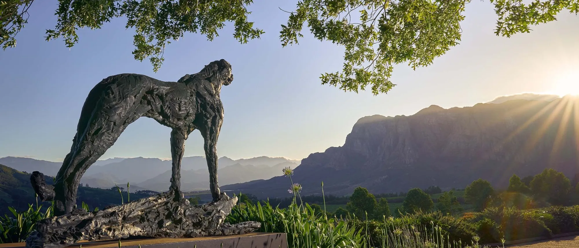 Image Title Image Title