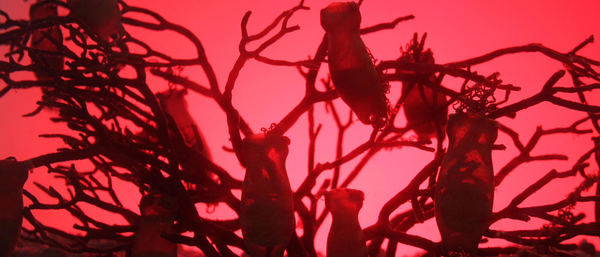 14018580608 3ca225612d k 14018580608 3ca225612d k