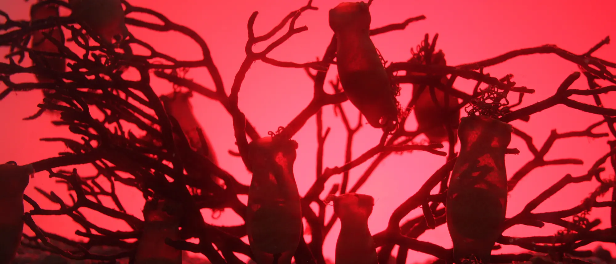 14018580608 3ca225612d k 14018580608 3ca225612d k