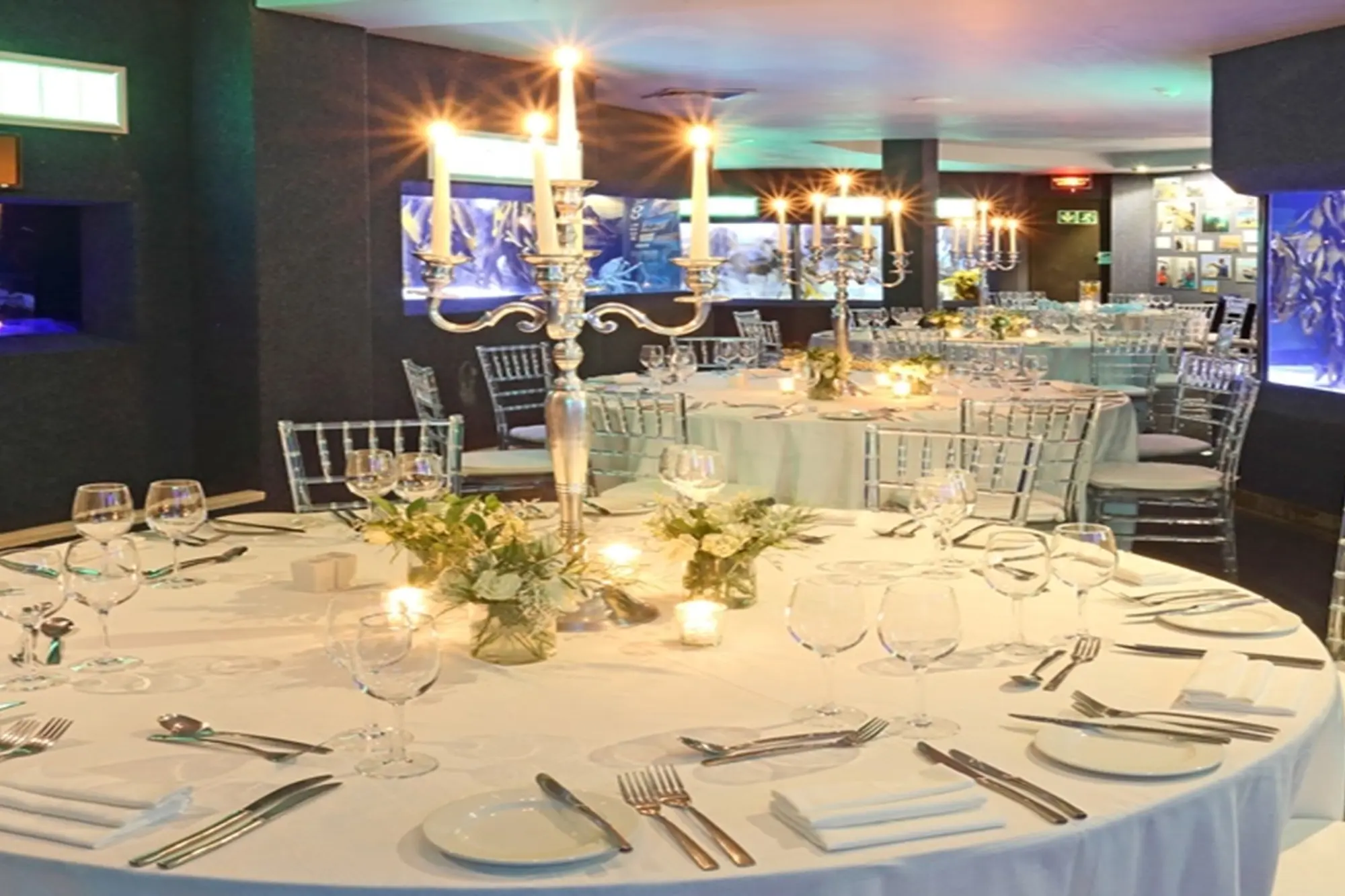 Two Oceans Aquarium Two Oceans Aquarium