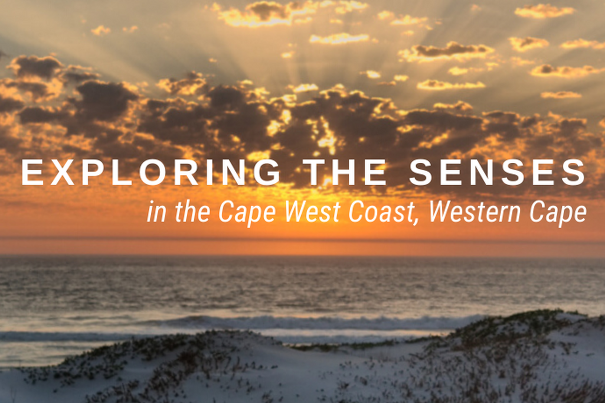 Image Title Image Title