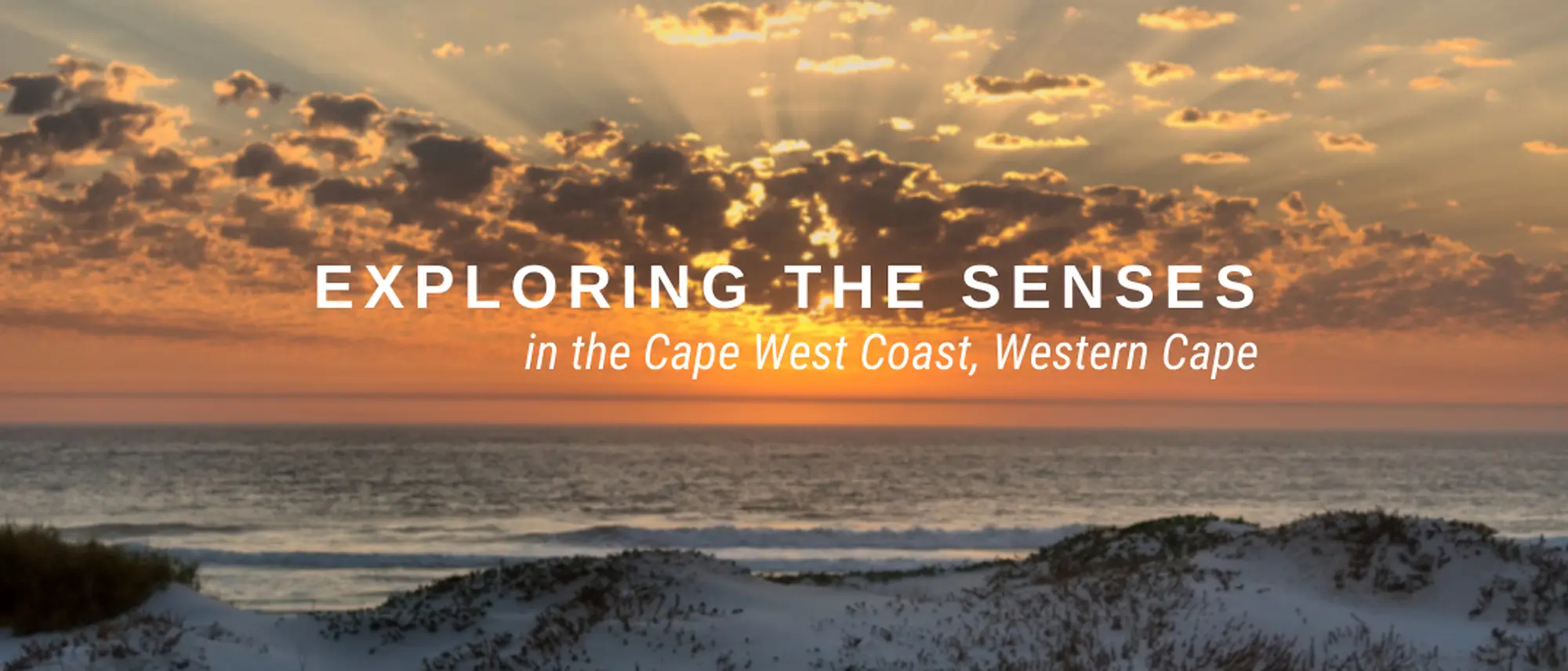 Image Title Image Title