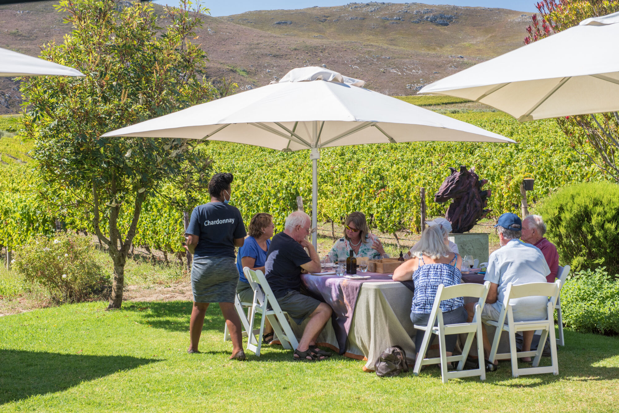 Creation 1 Creation 1