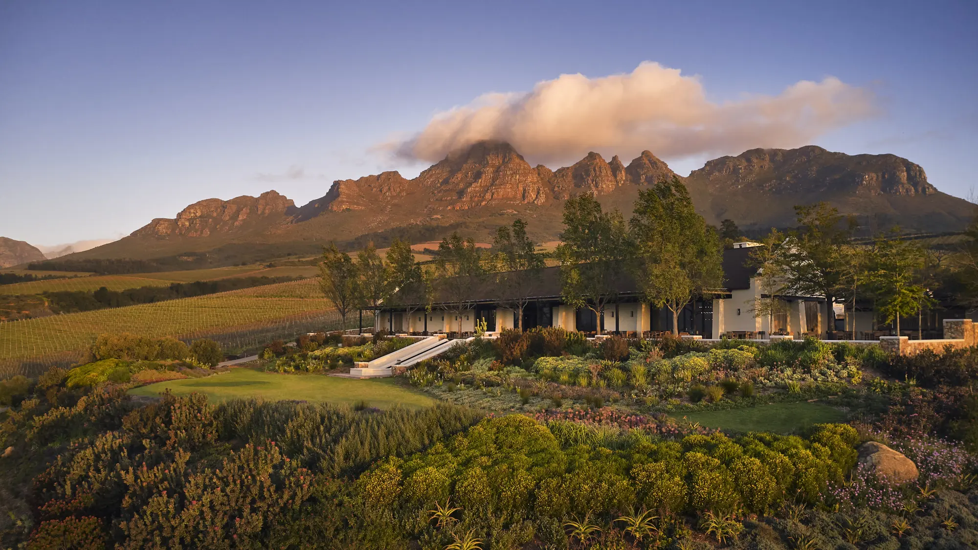 Image Title Image Title