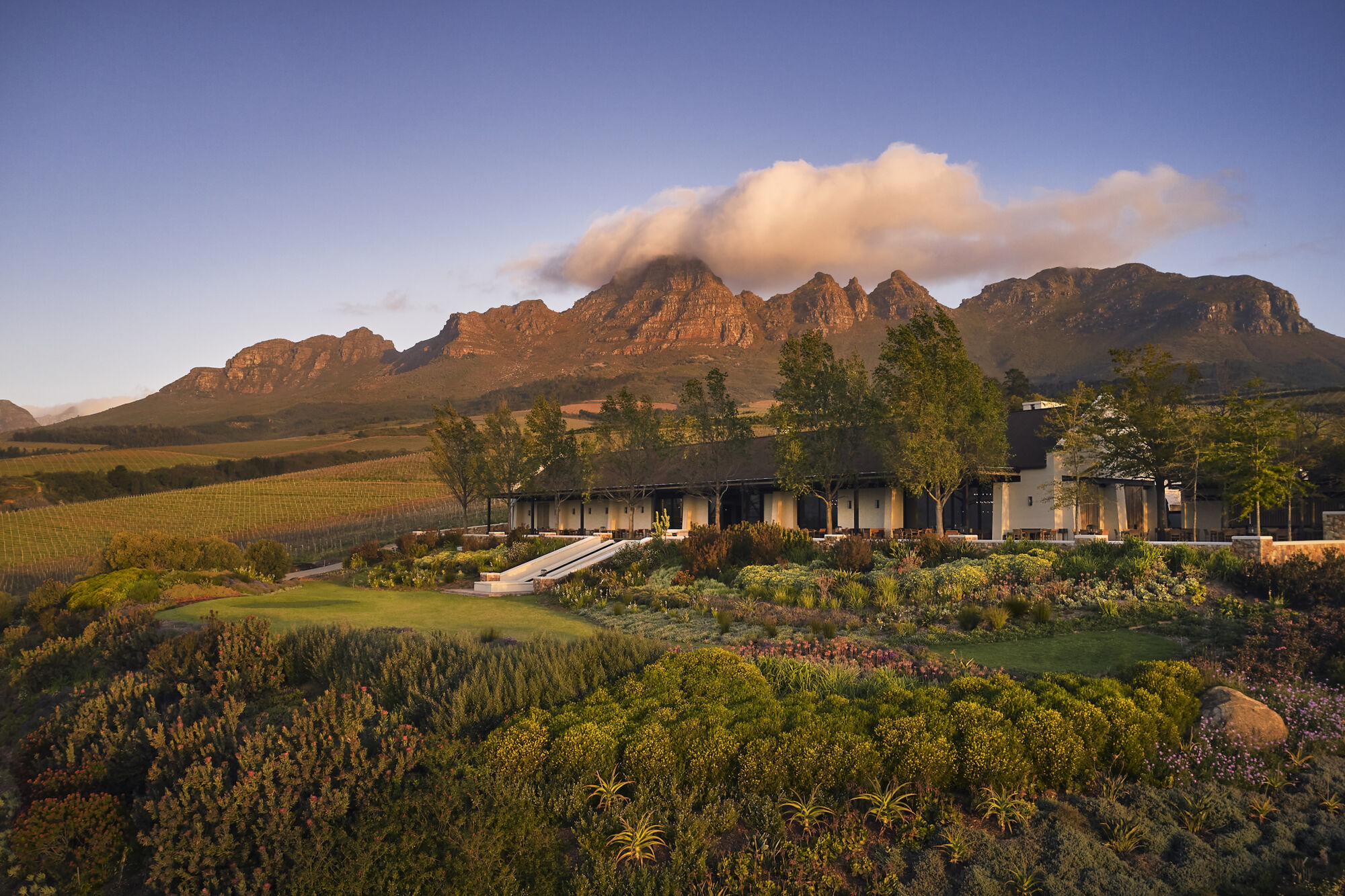 Image Title Image Title