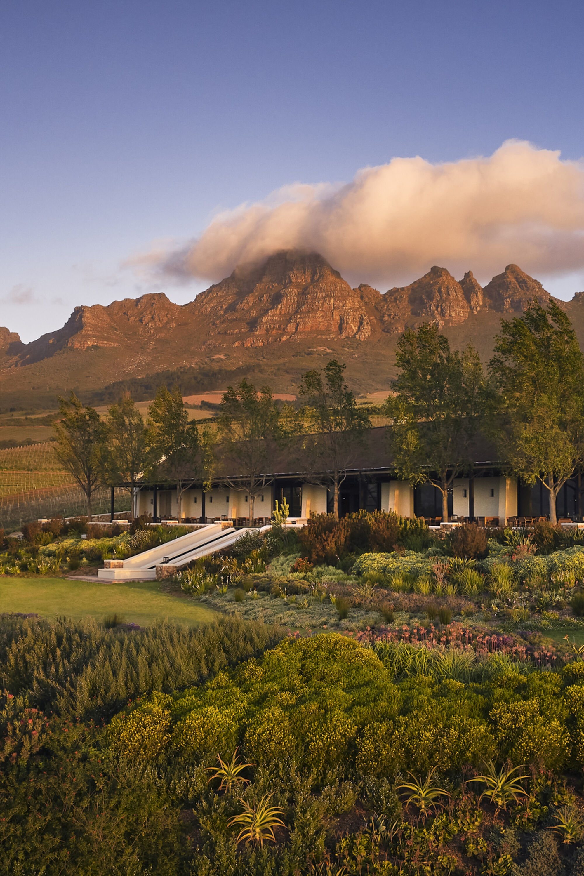 Image Title Image Title