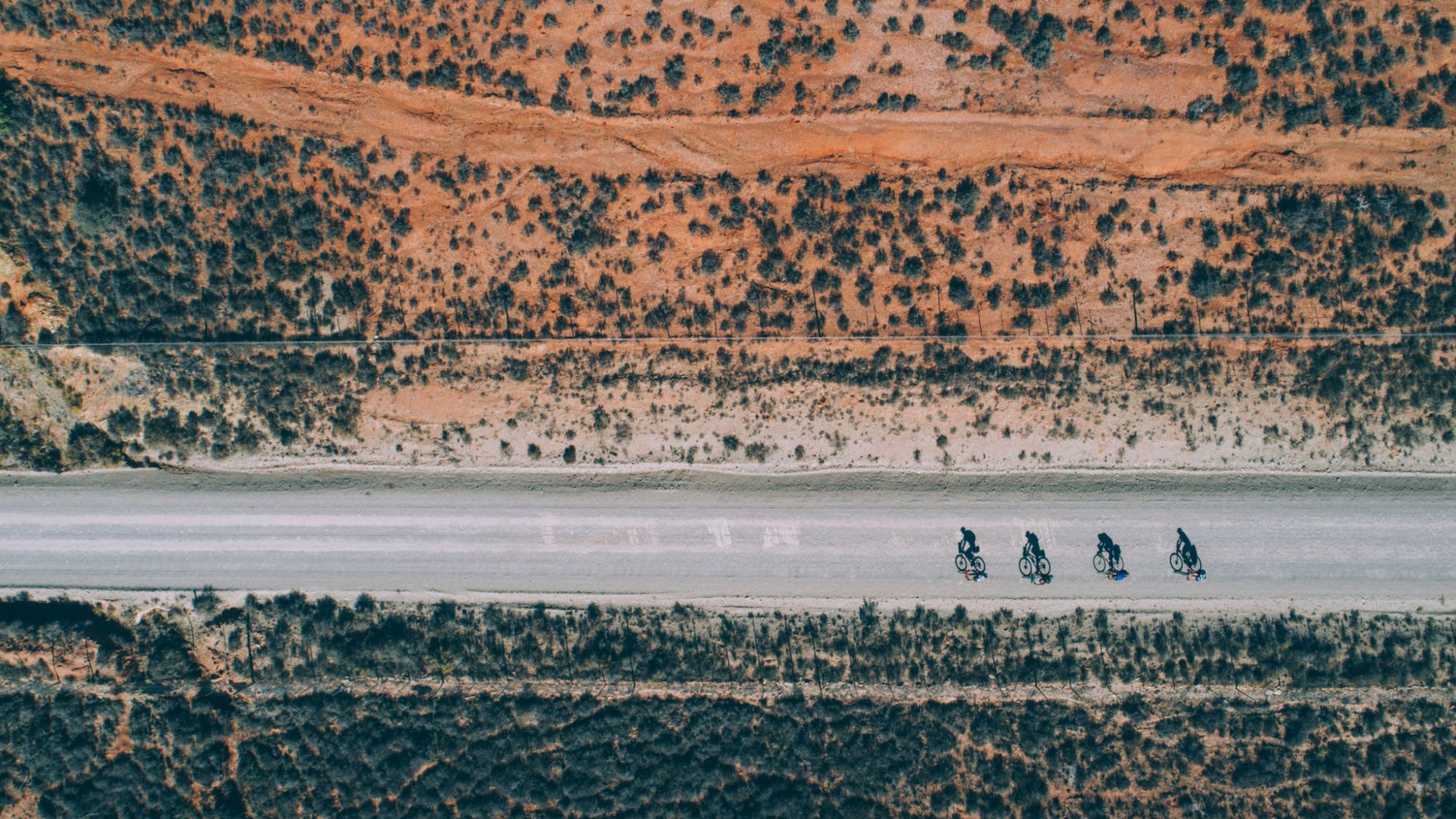 Image Title Image Title