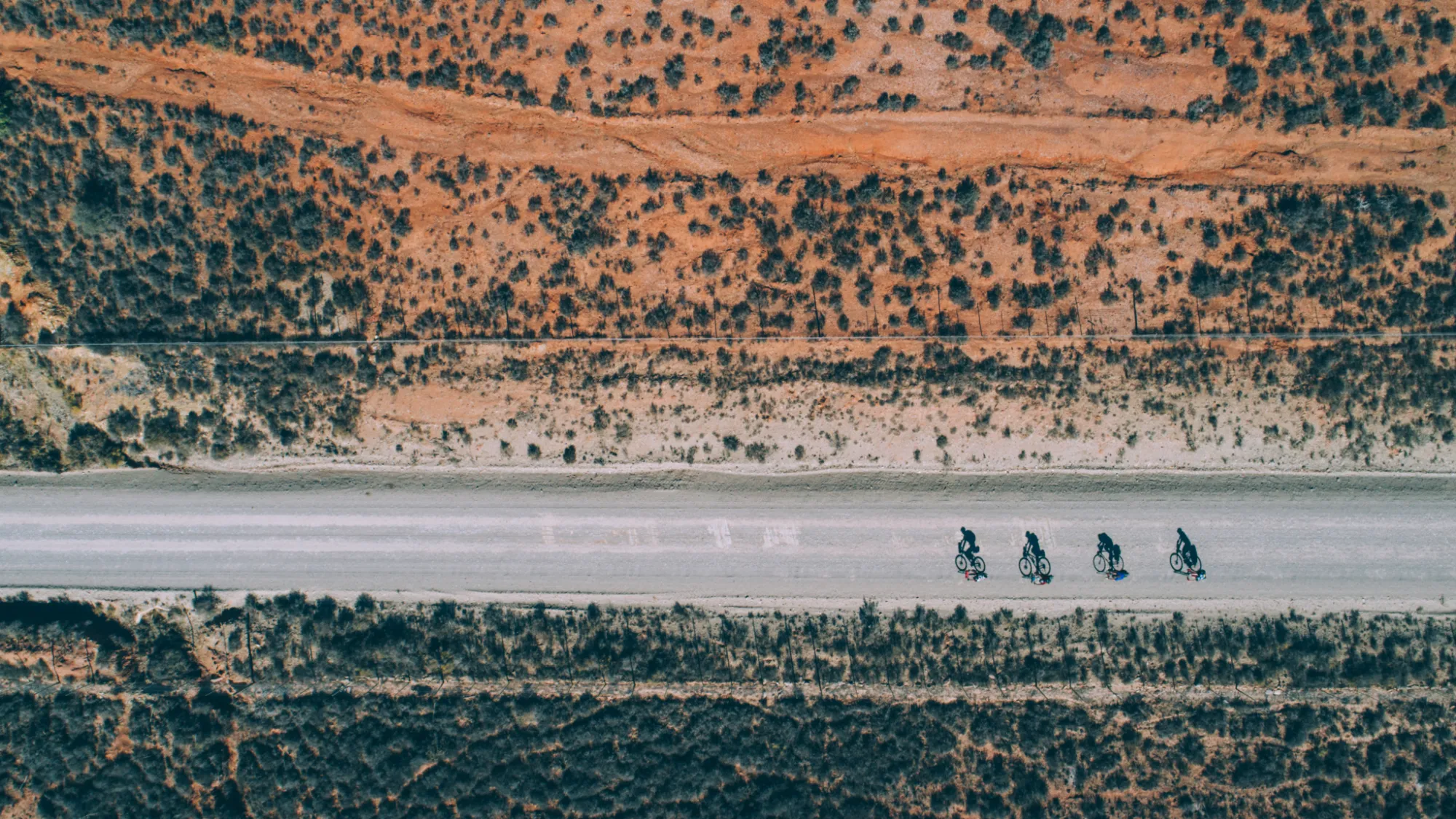 Image Title Image Title