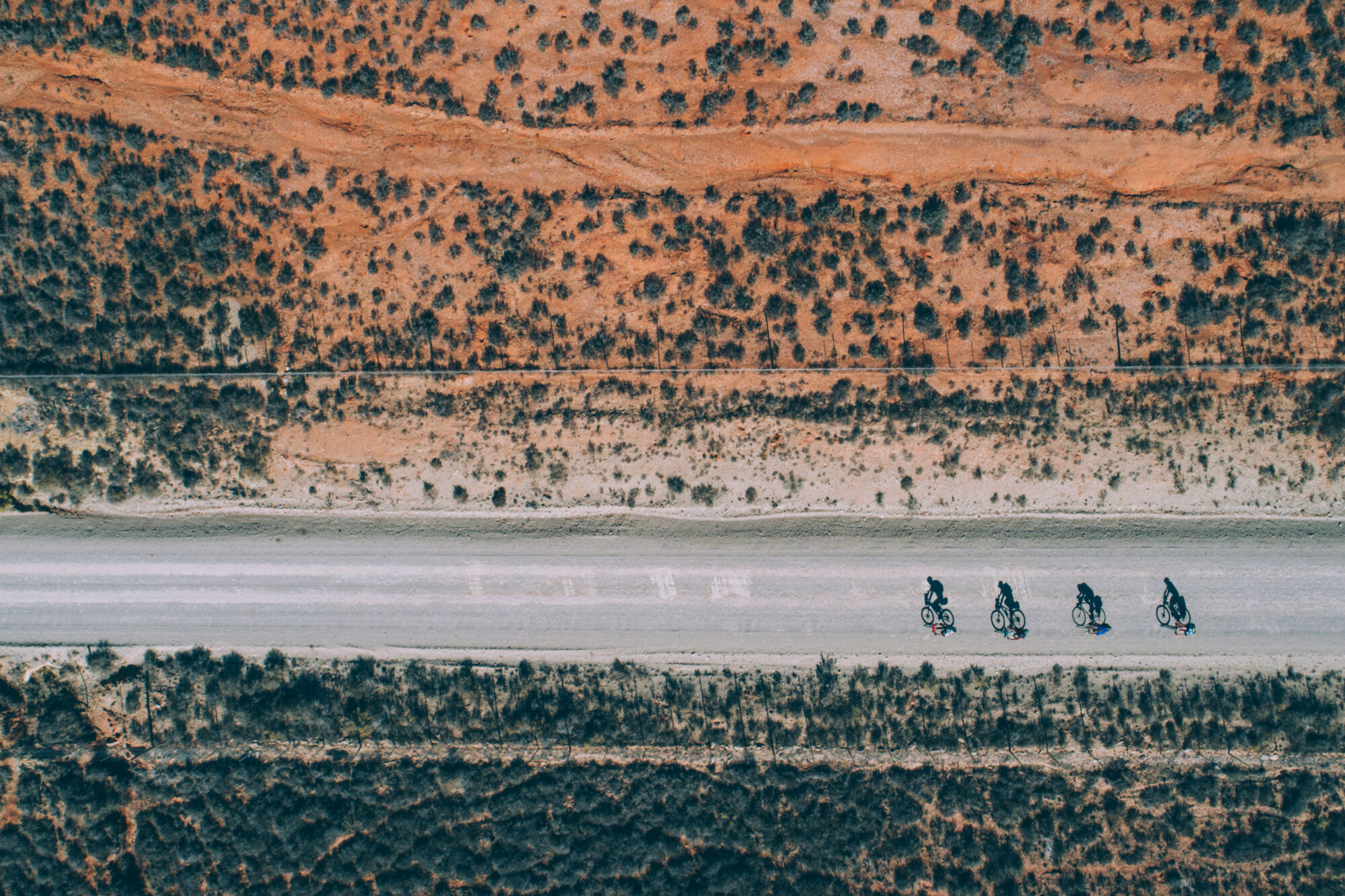 Image Title Image Title