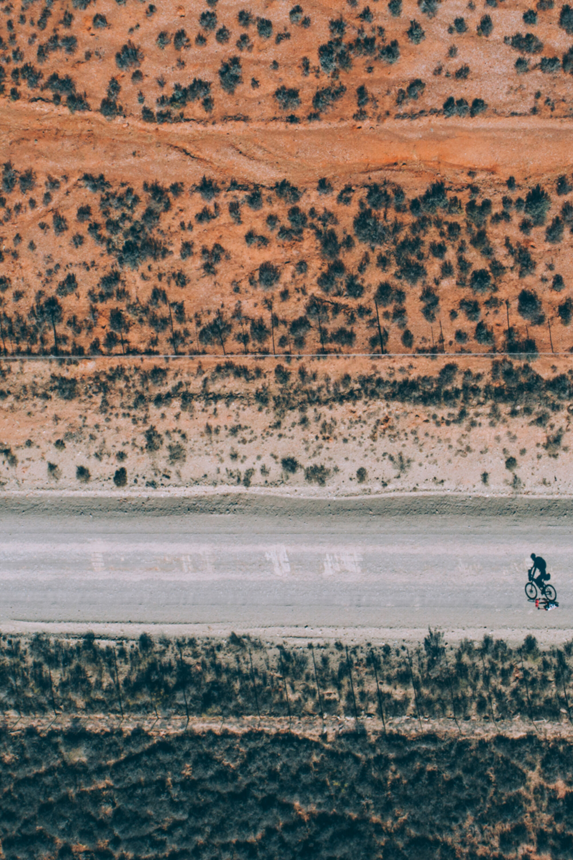 Image Title Image Title