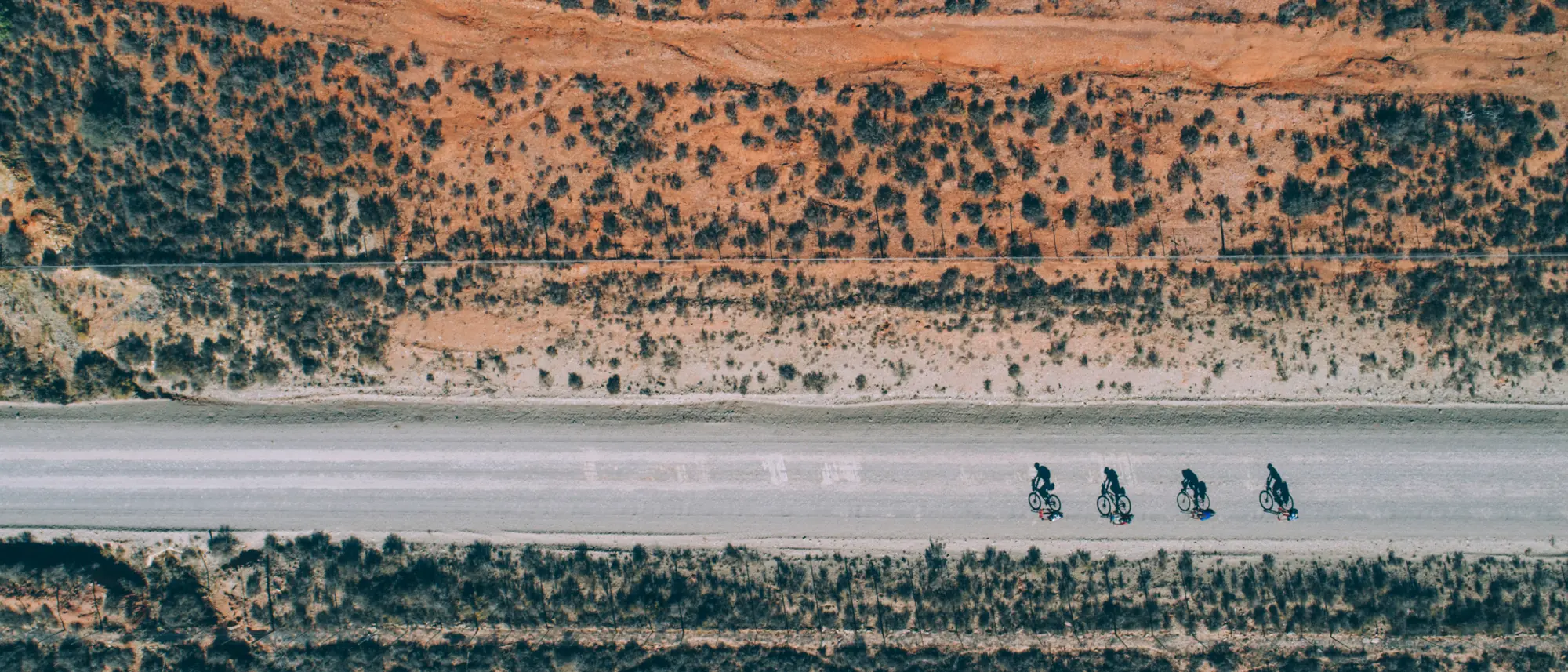 Image Title Image Title