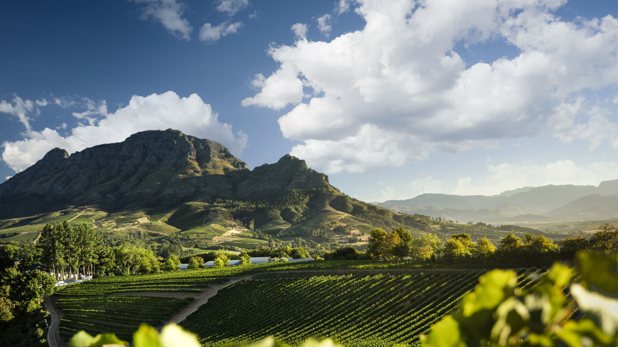 Image Title Image Title