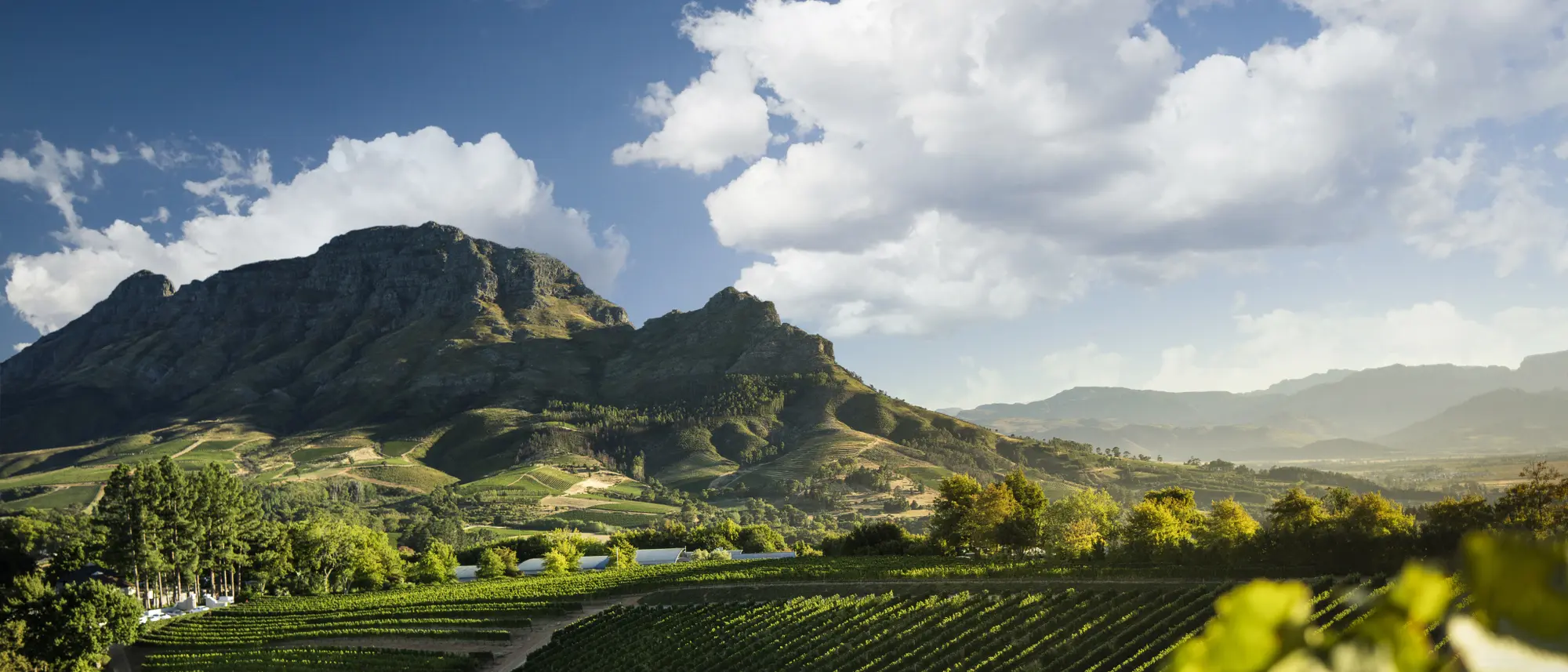 Image Title Image Title