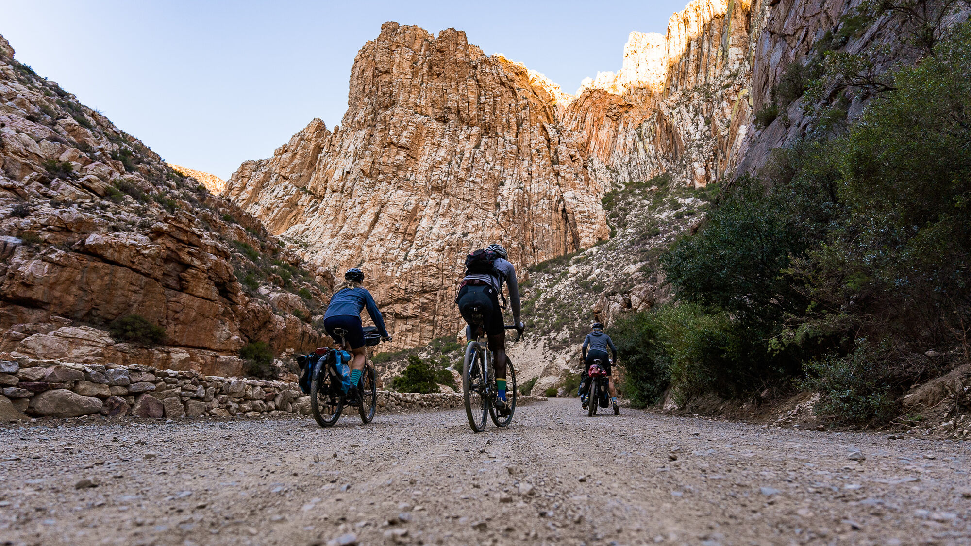 Image Title Image Title