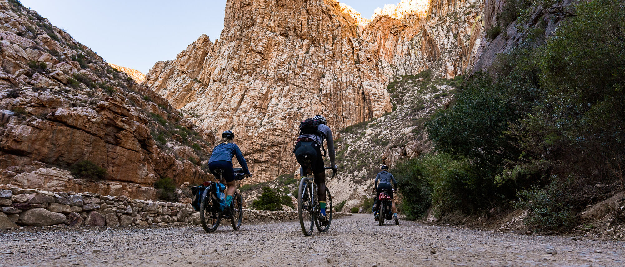 Image Title Image Title