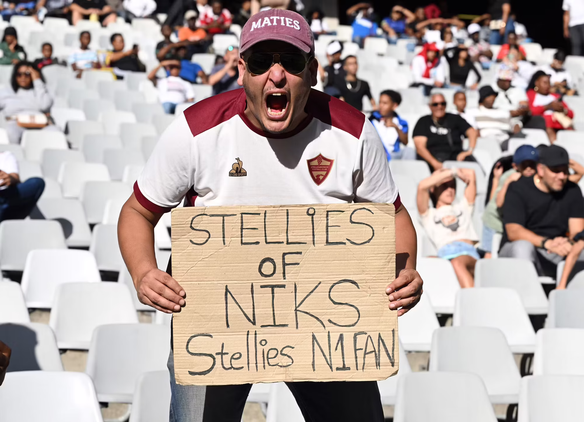 DSC 4231 scaled DSC 4231 scaled