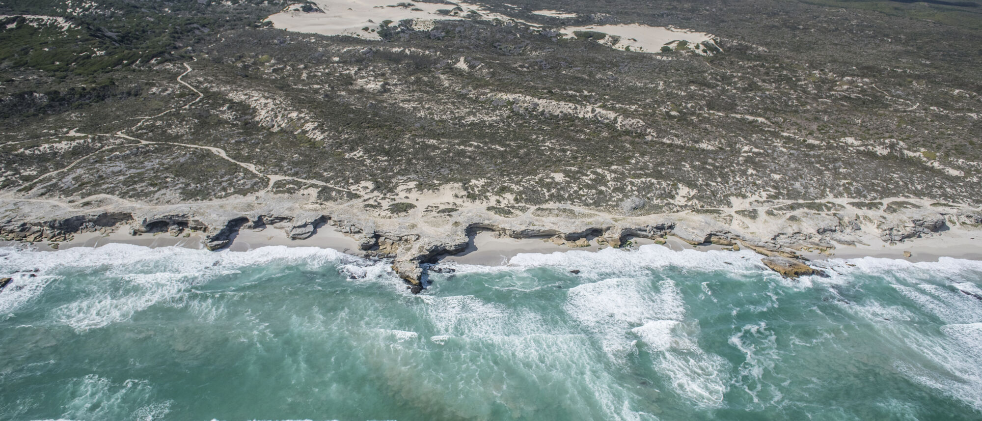 Image Title Image Title